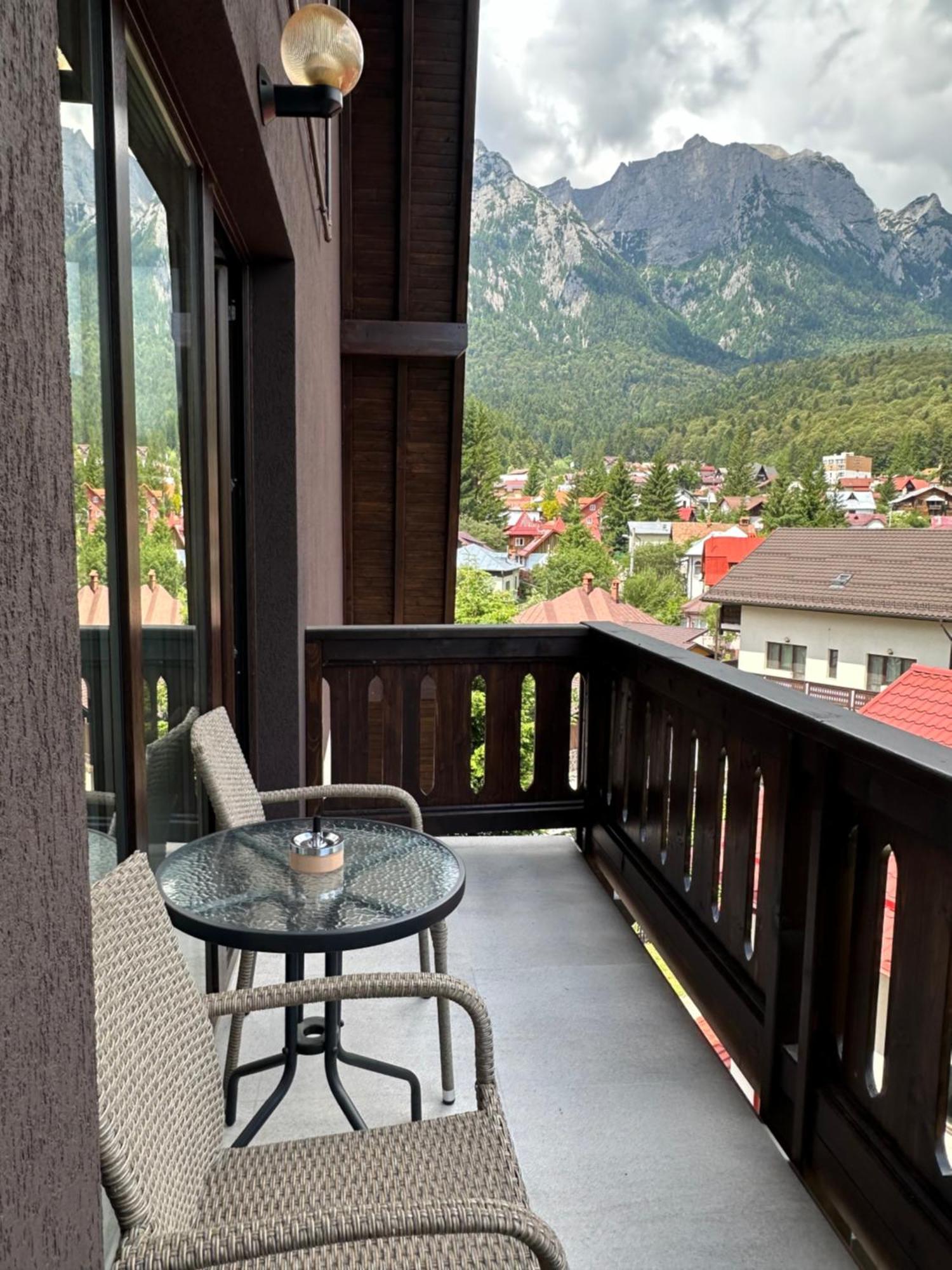 The View Apartment Buşteni Buitenkant foto